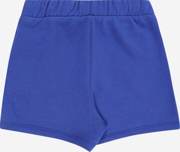 GAP Regular Shorts in Blau