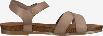 Sandalo di COSMOS COMFORT in marrone