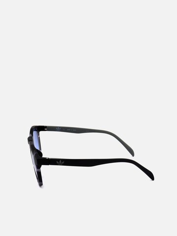 Adidas Sport - Gafas de sol 'AOR017/N Havana' en marrón
