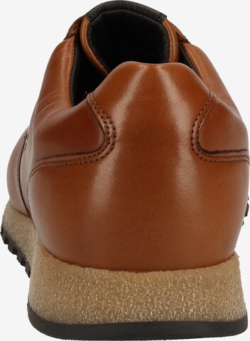 Pius Gabor Sneakers in Brown