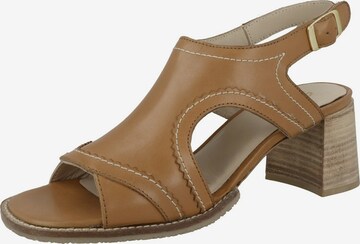 GERRY WEBER Sandals 'Garda' in Brown: front