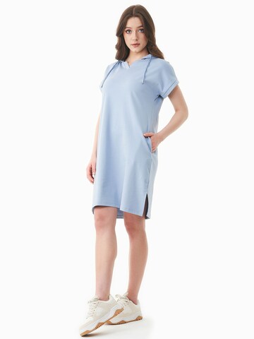 Organication Dress in Blue