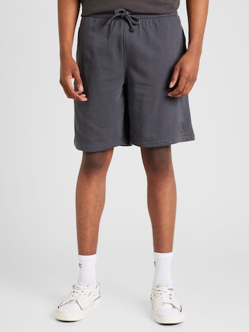 DC Shoes Loosefit Shorts 'HIGHLAND' in Grau: predná strana