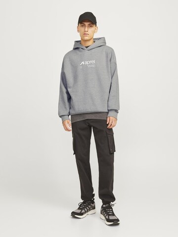 aprel Sweatshirt in Grijs