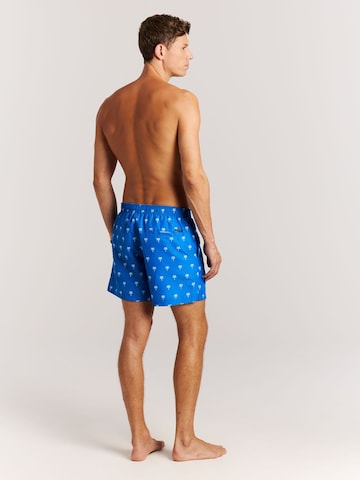 PROTEST Board Shorts 'PRTMascot' in Blue