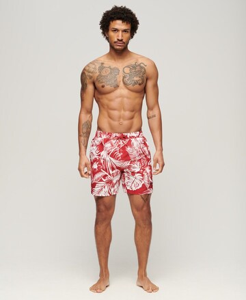 Superdry Zwemshorts in Wit