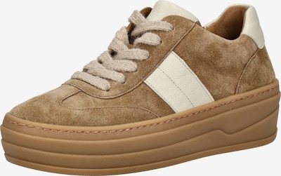 GABOR Sneaker in creme / chamois, Produktansicht