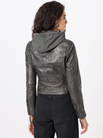 FREAKY NATION - Chaqueta de entretiempo en gris