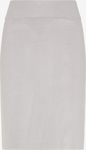 usha BLUE LABEL Skirt in Grey: front