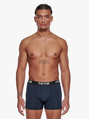 Adam Boxer shorts '3er Pack' in Grey: front