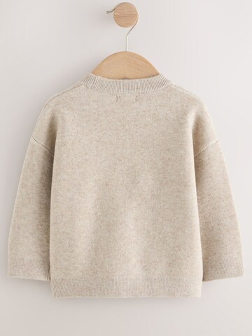 Pullover di Next in marrone