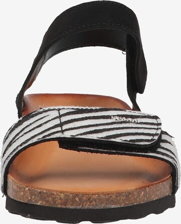 IGI&CO Strap Sandals in Black