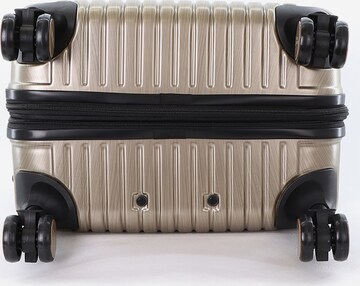 National Geographic Suitcase 'Transit' in Gold