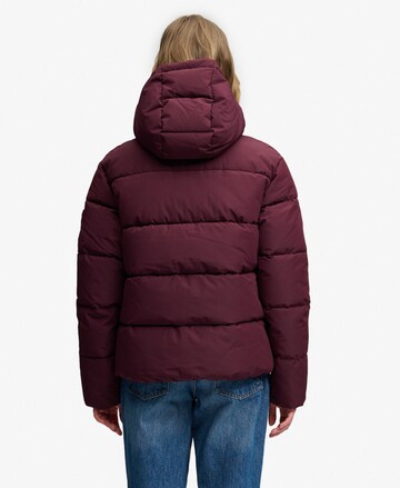 Superdry & Co Tussenjas in Rood