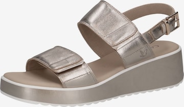 CAPRICE - Sandália em castanho: frente