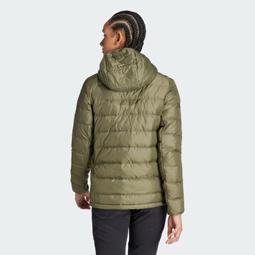 ADIDAS TERREX - Chaqueta de montaña en verde