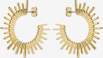 Ted Baker Earrings 'SUNRRIA' in Gold