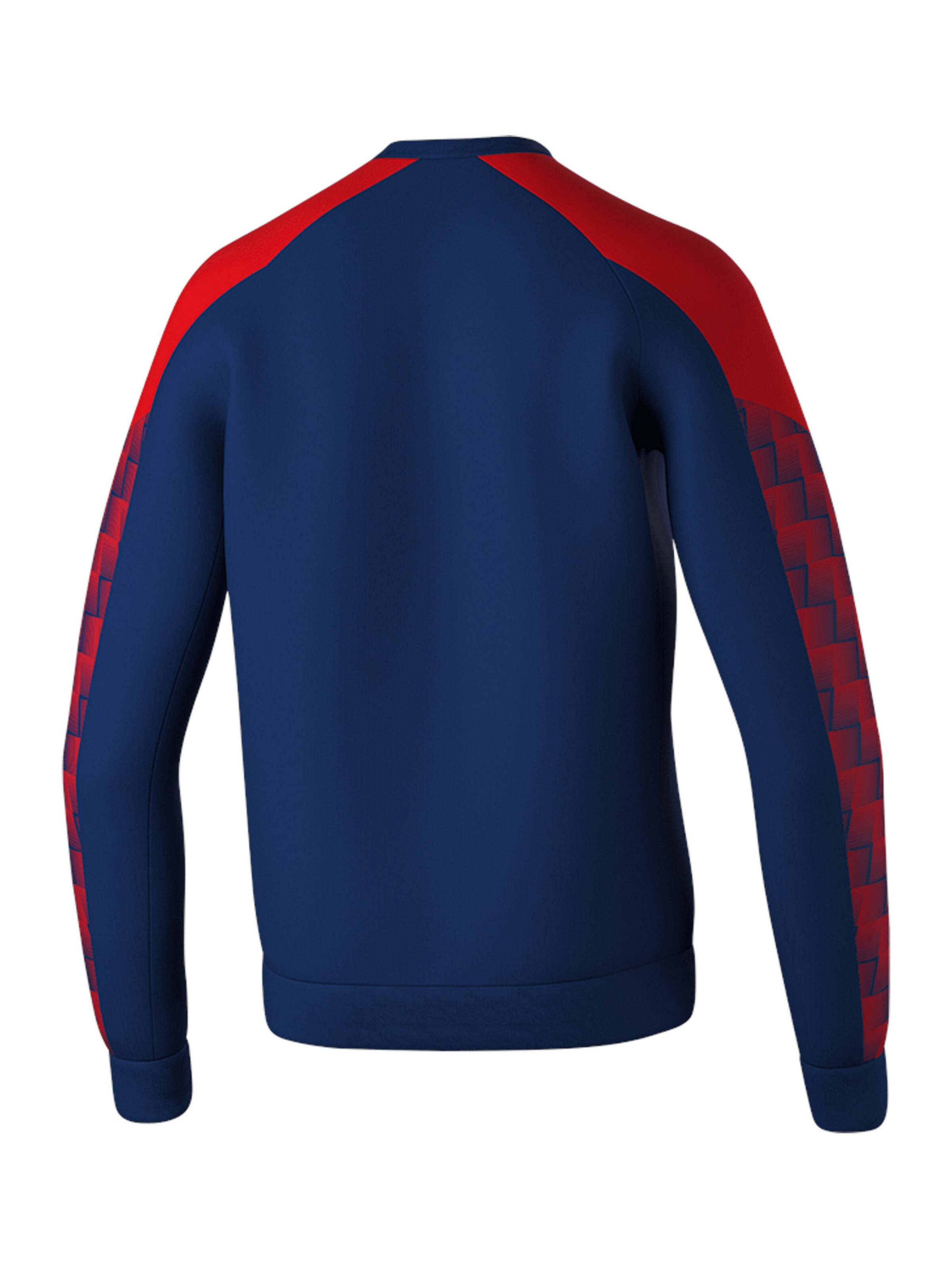 ERIMA Sportsweatshirt 'Evo Star' in Blau
