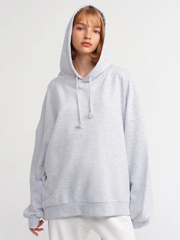 Dilvin Sweatshirt in Grey: front