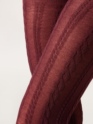 CALZEDONIA Tights in Red