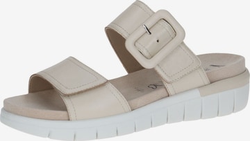 CAPRICE Mules in Beige: front
