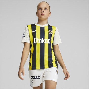 PUMA Funktionsshirt 'Fenerbahçe S.K. 23/24' in Blau: predná strana