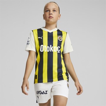 PUMA Functioneel shirt 'Fenerbahçe S.K. 23/24' in Blauw: voorkant