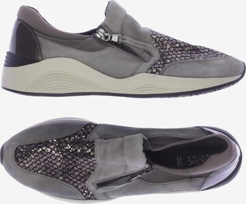 GEOX Sneakers & Trainers in 40 in Grey: front