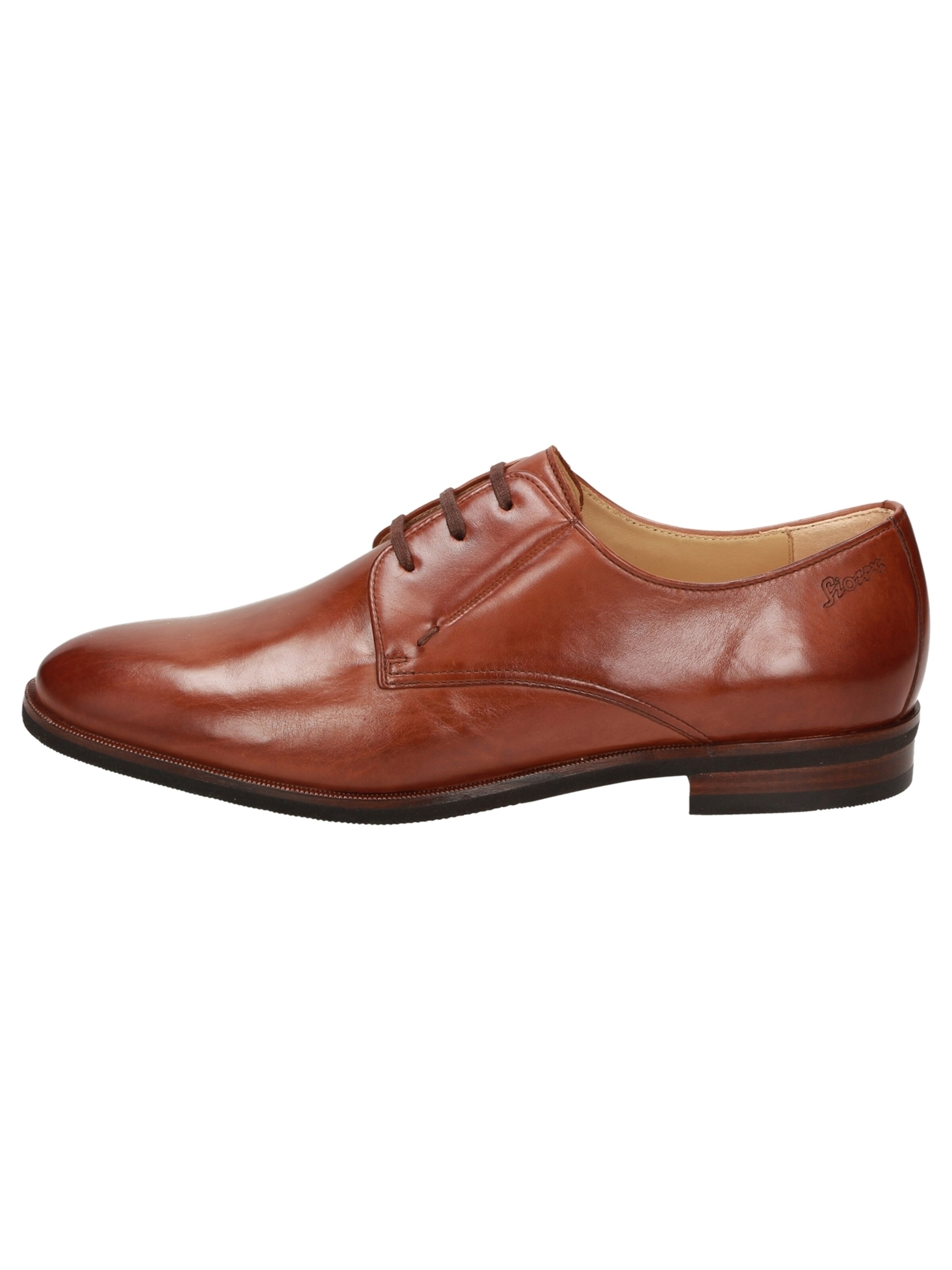 SIOUX Schoenen voor heren in de sale online kopen | ABOUT YOU
