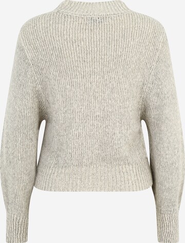 JDY Petite Pullover 'HILARY SALA' in Beige