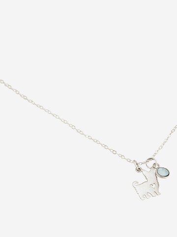 Gemshine Ketting in Zilver