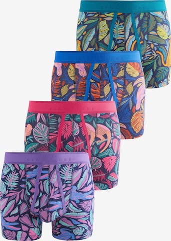 Next Boxer shorts in Mixed colors: front