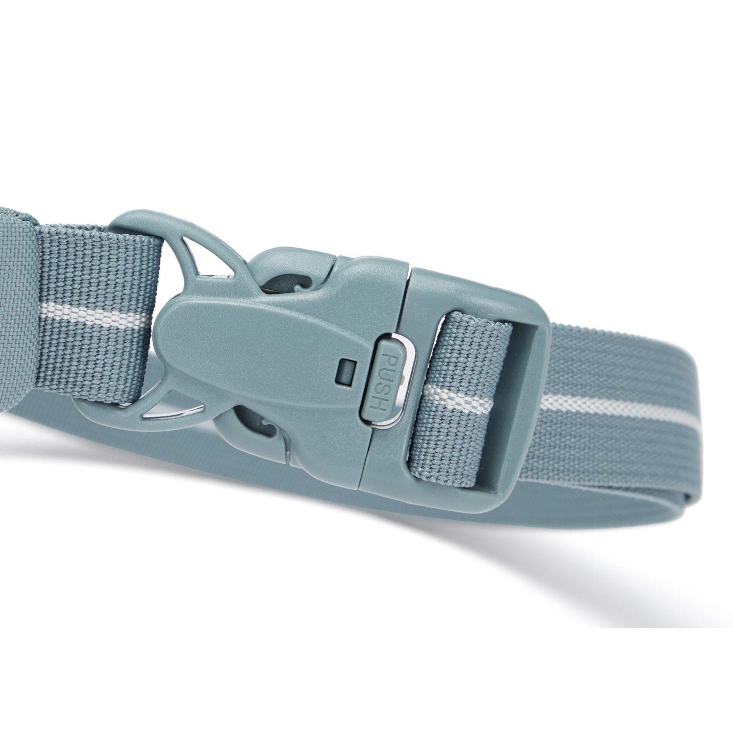 Pacsafe Fanny Pack in Blue