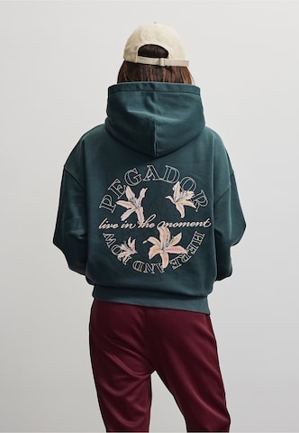 Sweat-shirt 'Trapani' Pegador en vert : devant