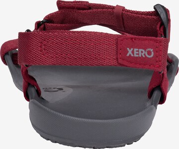 Xero Shoes Sandale 'Z-Trek' in Rot