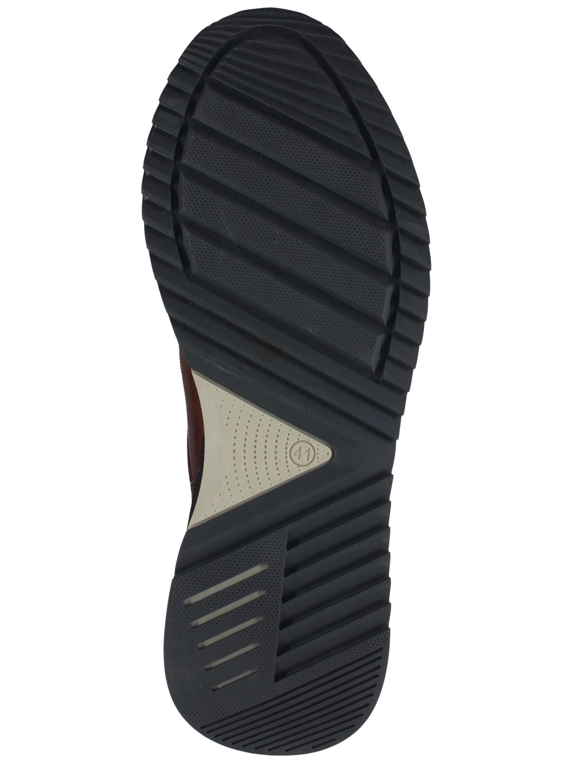 Baskets basses BULLBOXER en marron