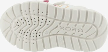 GEOX Sneaker in Pink