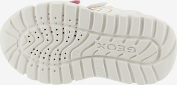 Baskets GEOX en rose