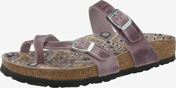 Tongs 'Mayari' BIRKENSTOCK en violet : devant