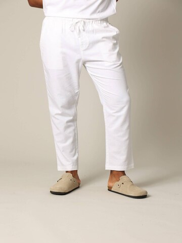 Pantalon chino 'GLADES ' Deeluxe en blanc : devant