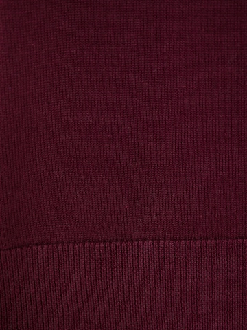 Funky BuddhaPulover - crvena boja