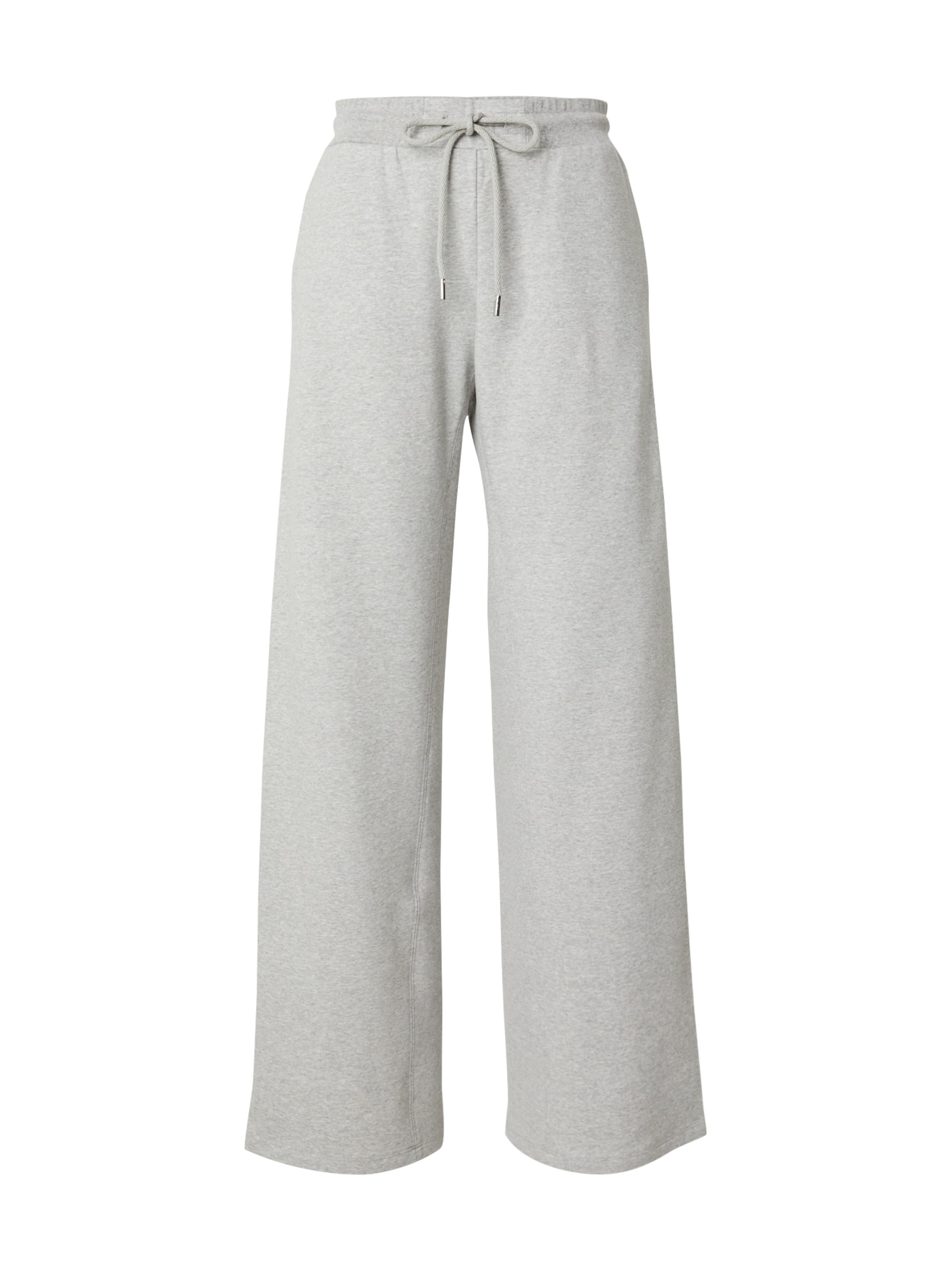 Pantalon 'VELES' MM by Max Mara en gris : devant