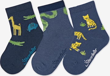 STERNTALER Socks 'Dschungeltiere' in Blue: front