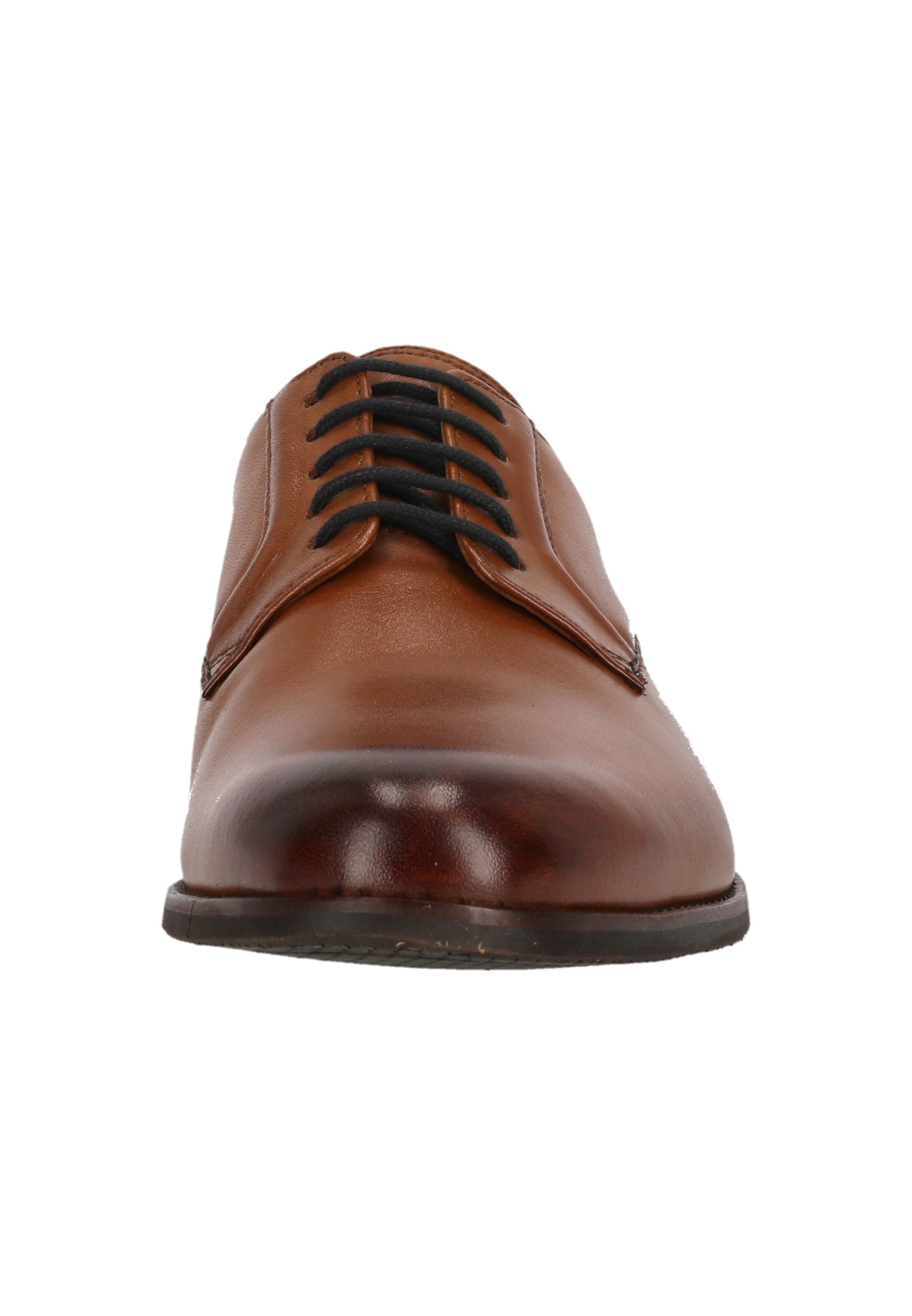 CLARKS Lace-up shoe 'CraftArlo' in Brown