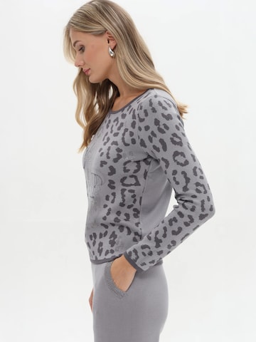 Passioni Pullover in Grau