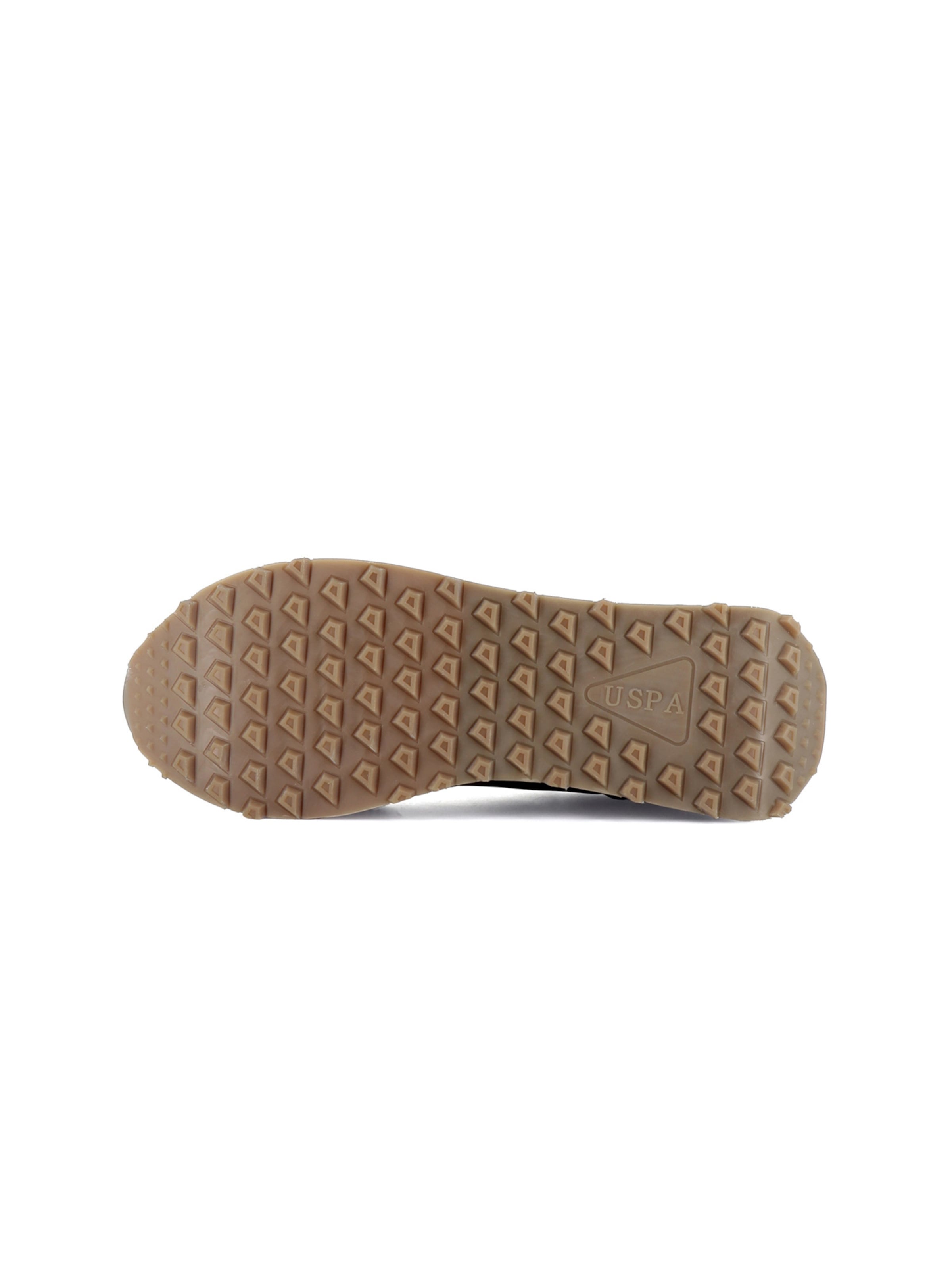 Baskets basses 'April' US POLO ASSN. en marron