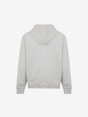 DICKIES Sweatshirt 'SUMMERDAL' in Grey