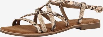 LAZAMANI Sandals in Brown: front