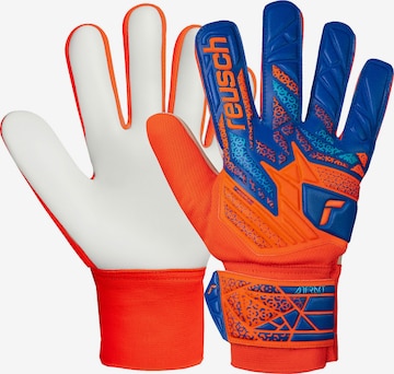 REUSCH Torwarthandschuhe 'Attrakt Starter Solid Junior' in Blau: Vorderseite