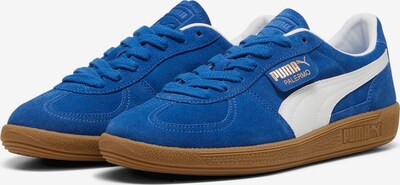 PUMA Sneaker 'Palermo' in kobaltblau / weiß, Produktansicht